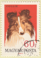 Hungary-2290-AR32