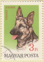 Hungary-2294-AR32