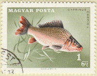 Hungary-2298-AR39