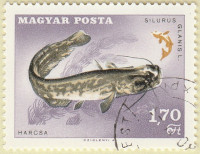 Hungary-2299-AR39
