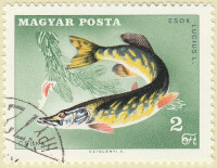 Hungary-2300-AR39