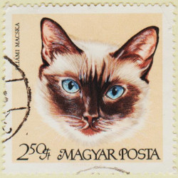 Hungary-2342-AR67