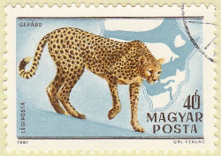 Hungary-3359-AR32