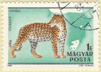 Hungary-3361-AR32