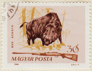 Hungary-2035-AS126