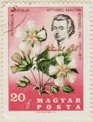 Hungary-2255-AS125