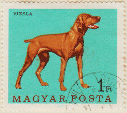 Hungary-2291-AS125