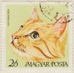 Hungary-2336-AS125