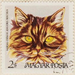 Hungary-2341-AS125