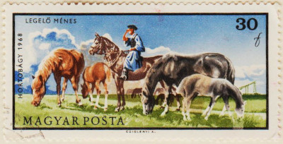 Hungary-2371-AS126