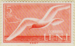 Ifni-101-AW95
