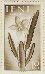 Ifni-102-AW95