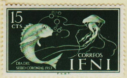 Ifni-99-AW95