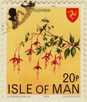Isle-of-Man-124-AW119