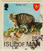 Isle-of-Man-125-AW119