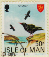 Isle-of-Man-126-AW119