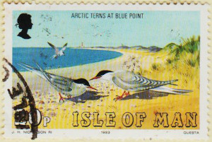 Isle-of-Man-244-AW119