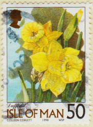 Isle-of-Man-784-AW119