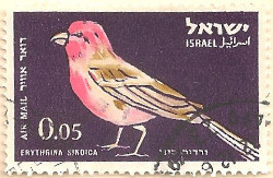 Israel-244-AP85