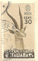 Italian-East-Africa-8-AP92