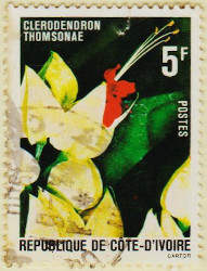 Ivory-Coast-622-AW103