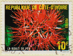 Ivory-Coast-623-AW103