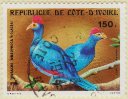 Ivory-Coast-773-AW103