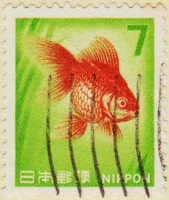 Japan-1047-AW126