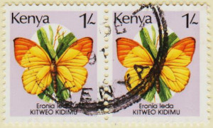 Kenya-440-AW128