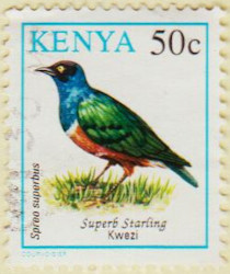 Kenya-593-AW127