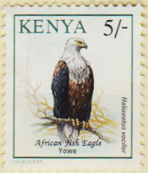 Kenya-595a-AW127