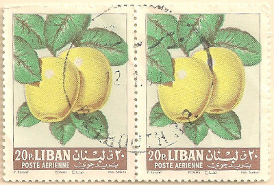 Lebanon-781.1-AP98
