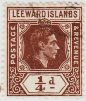 Leeward-Islands-95a-AW133
