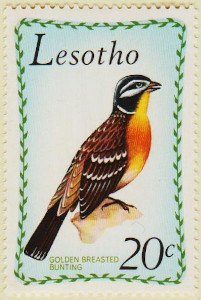 Lesotho-209-AW142
