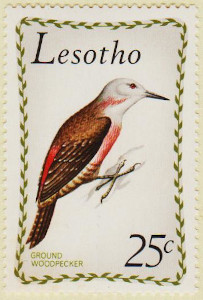 Lesotho-210-AW142