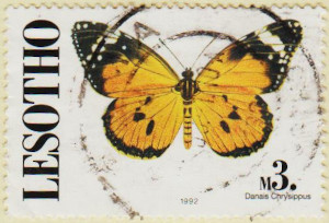 Lesotho-1029ca-AW143