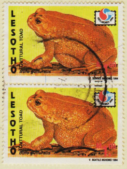 Lesotho-1207.1-AW143