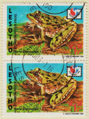 Lesotho-1208.1-AW143