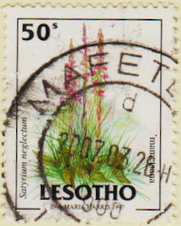 Lesotho-1523-AW143