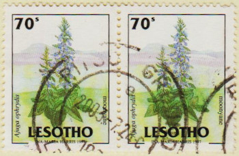 Lesotho-1525-AW143