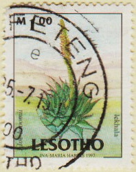 Lesotho-1527-AW143