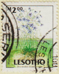 Lesotho-1528-AW143