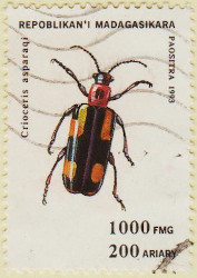Madagascar-1138-AW145