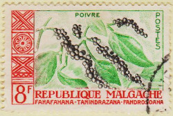 Malagasy-Rep-14-AW147