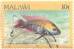 Malawi-693-AP110