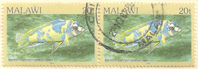 Malawi-695-AP110