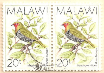 Malawi-796-AP110