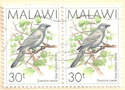 Malawi-797-AP110