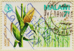 Malawi-642-AW148