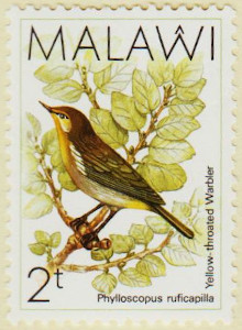 Malawi-790-AW149
